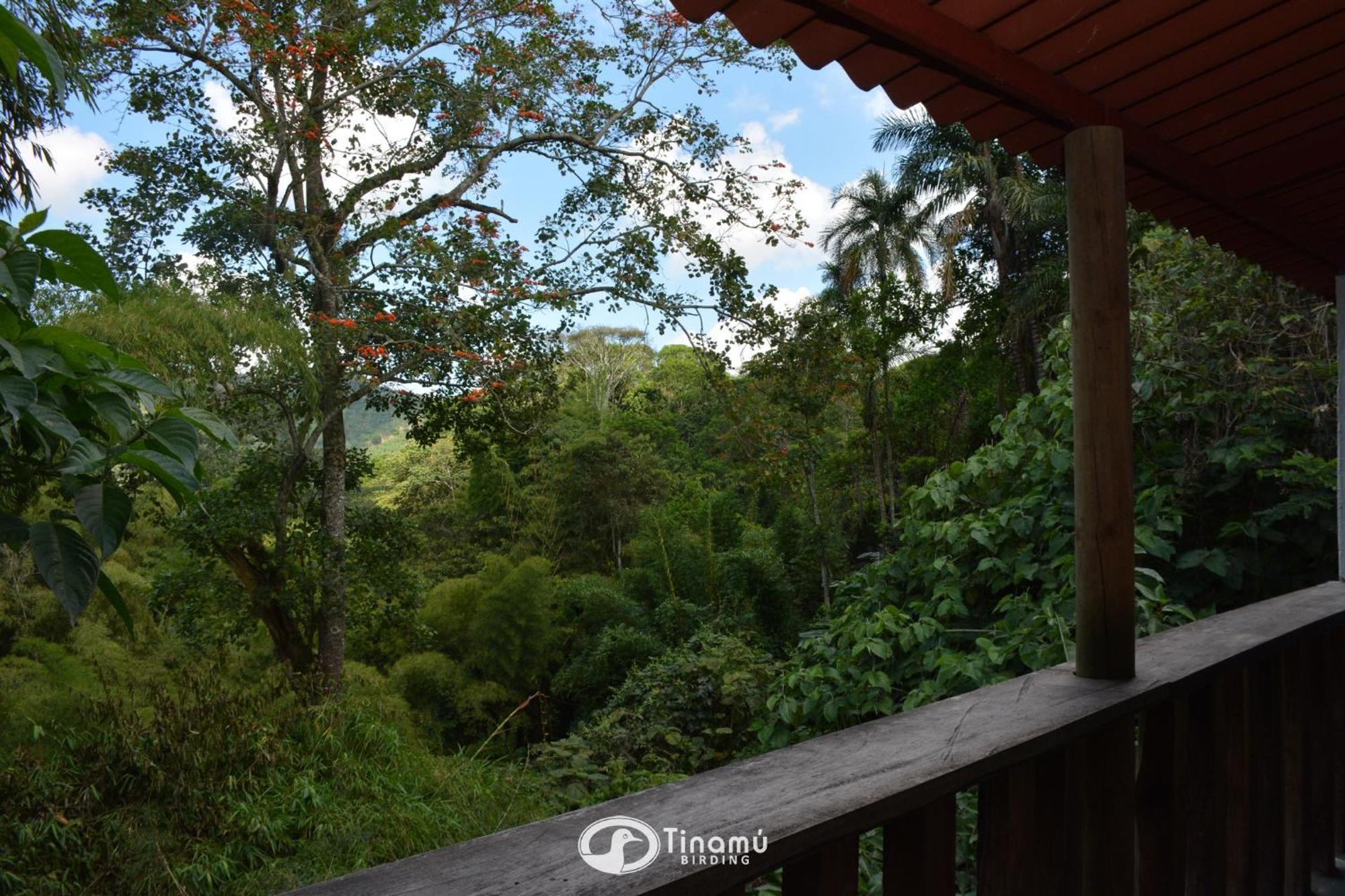 Tinamu Birding Hotell La Manuelita Exteriör bild