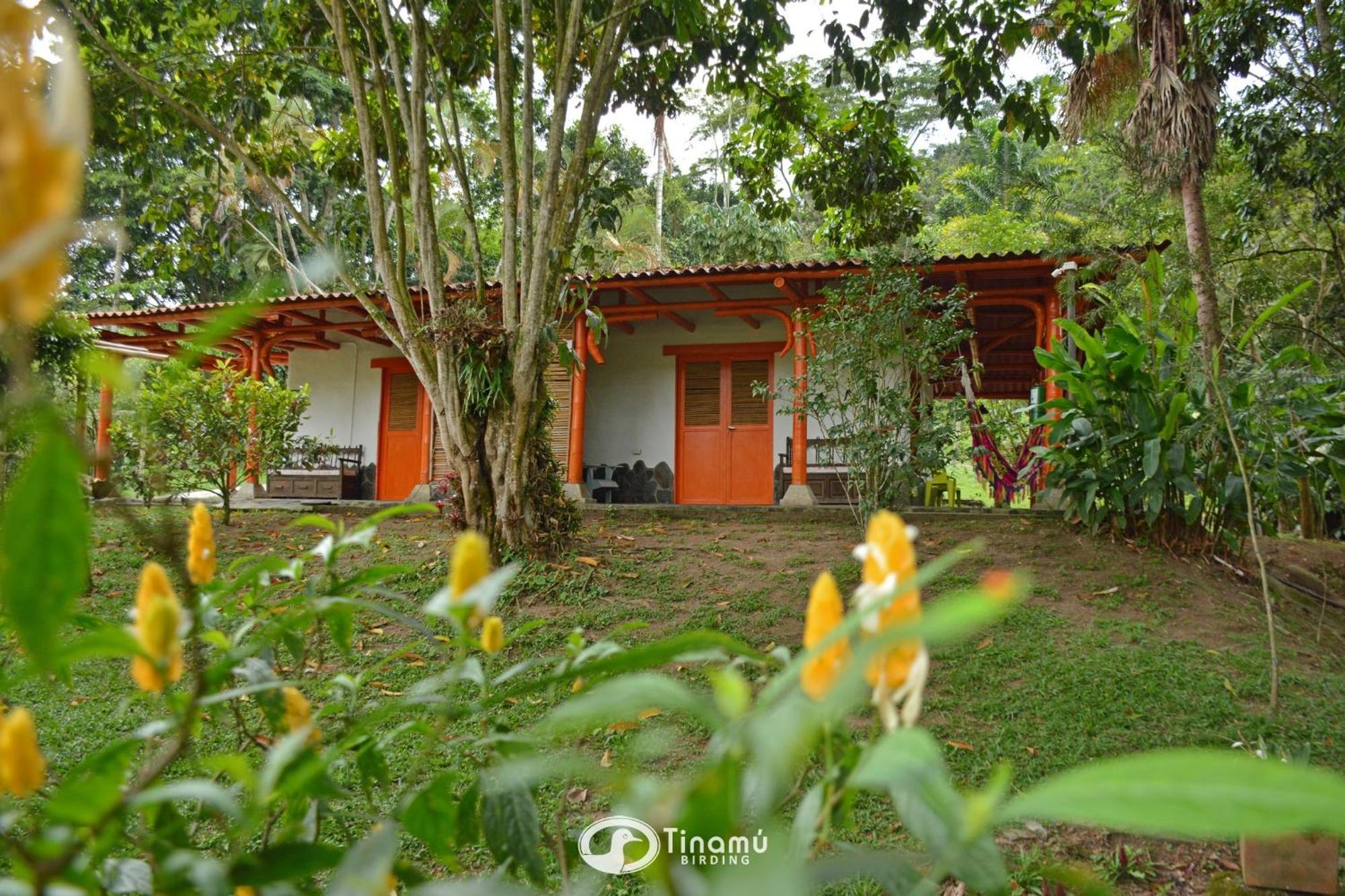 Tinamu Birding Hotell La Manuelita Exteriör bild