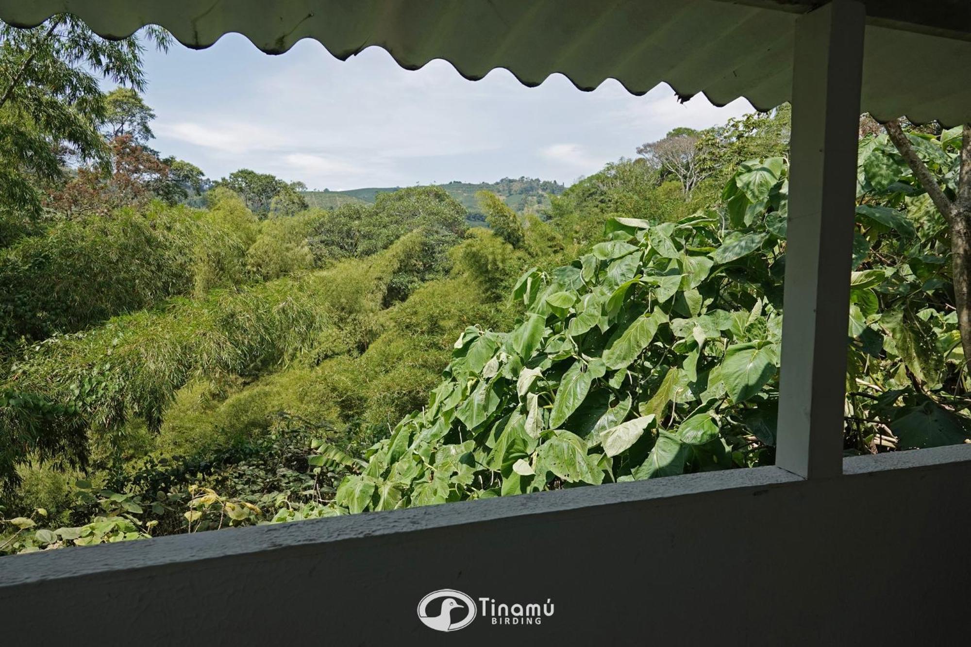 Tinamu Birding Hotell La Manuelita Exteriör bild