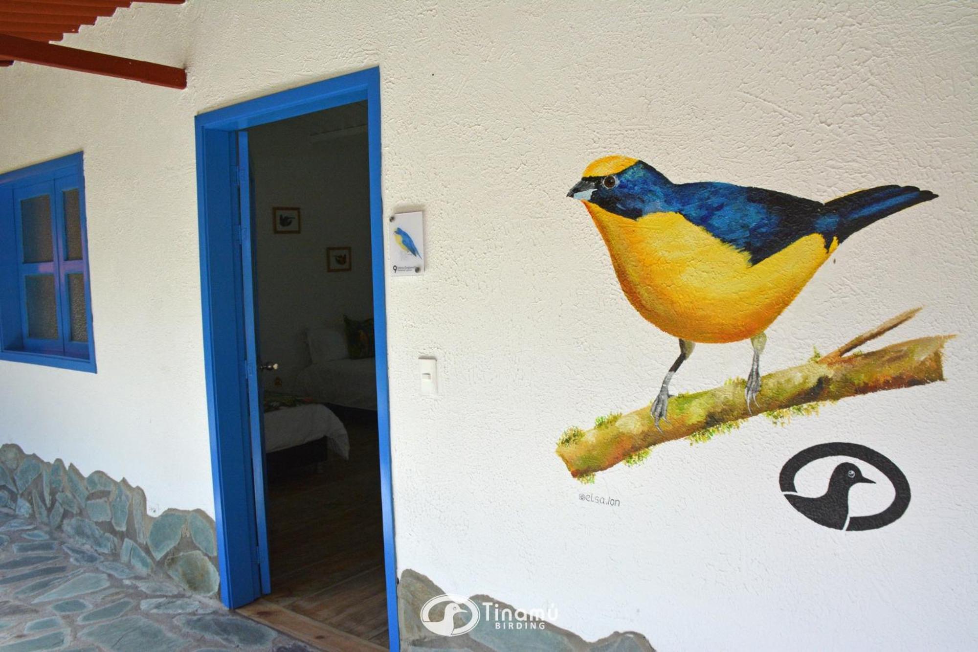 Tinamu Birding Hotell La Manuelita Exteriör bild
