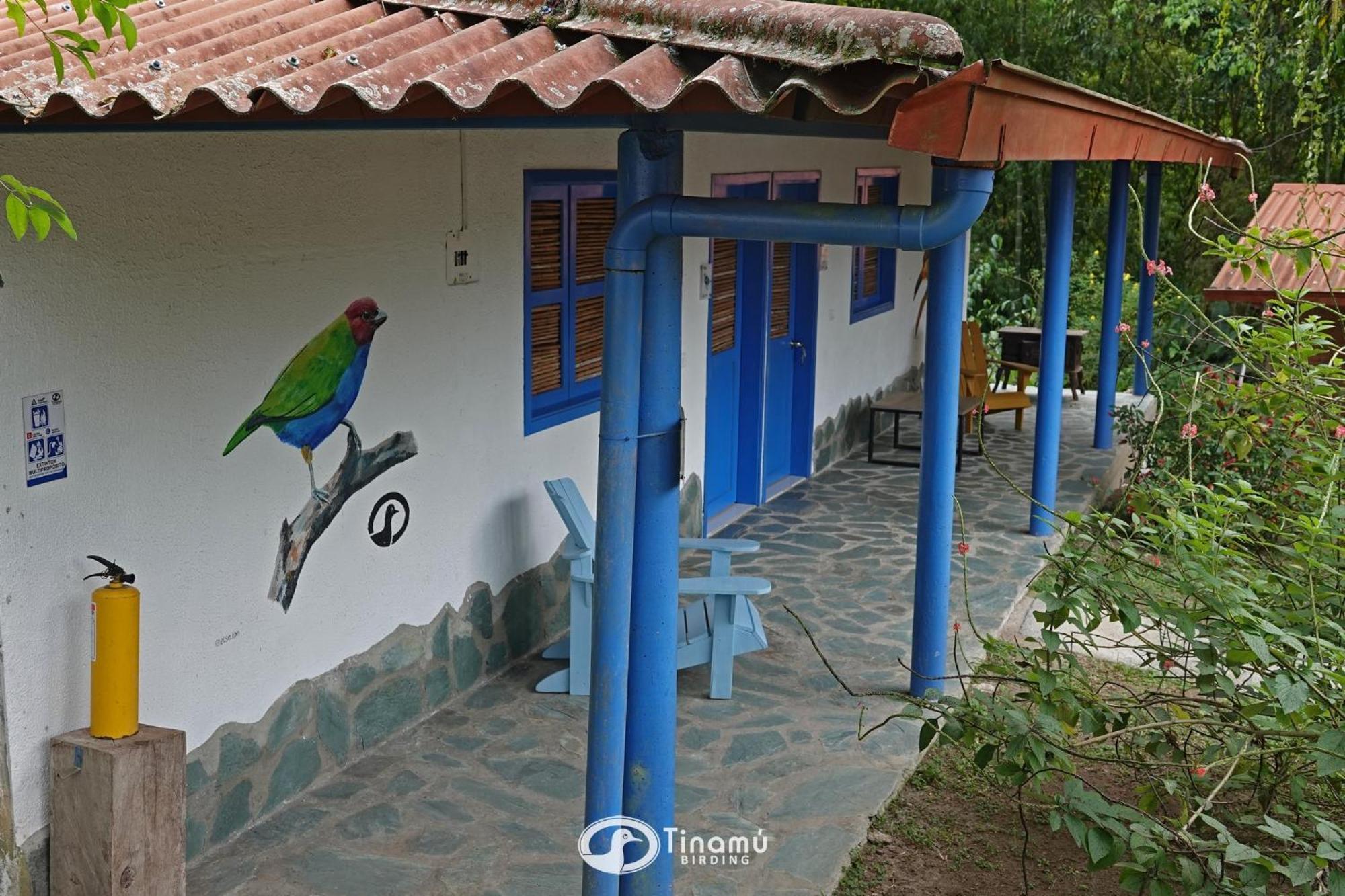 Tinamu Birding Hotell La Manuelita Exteriör bild