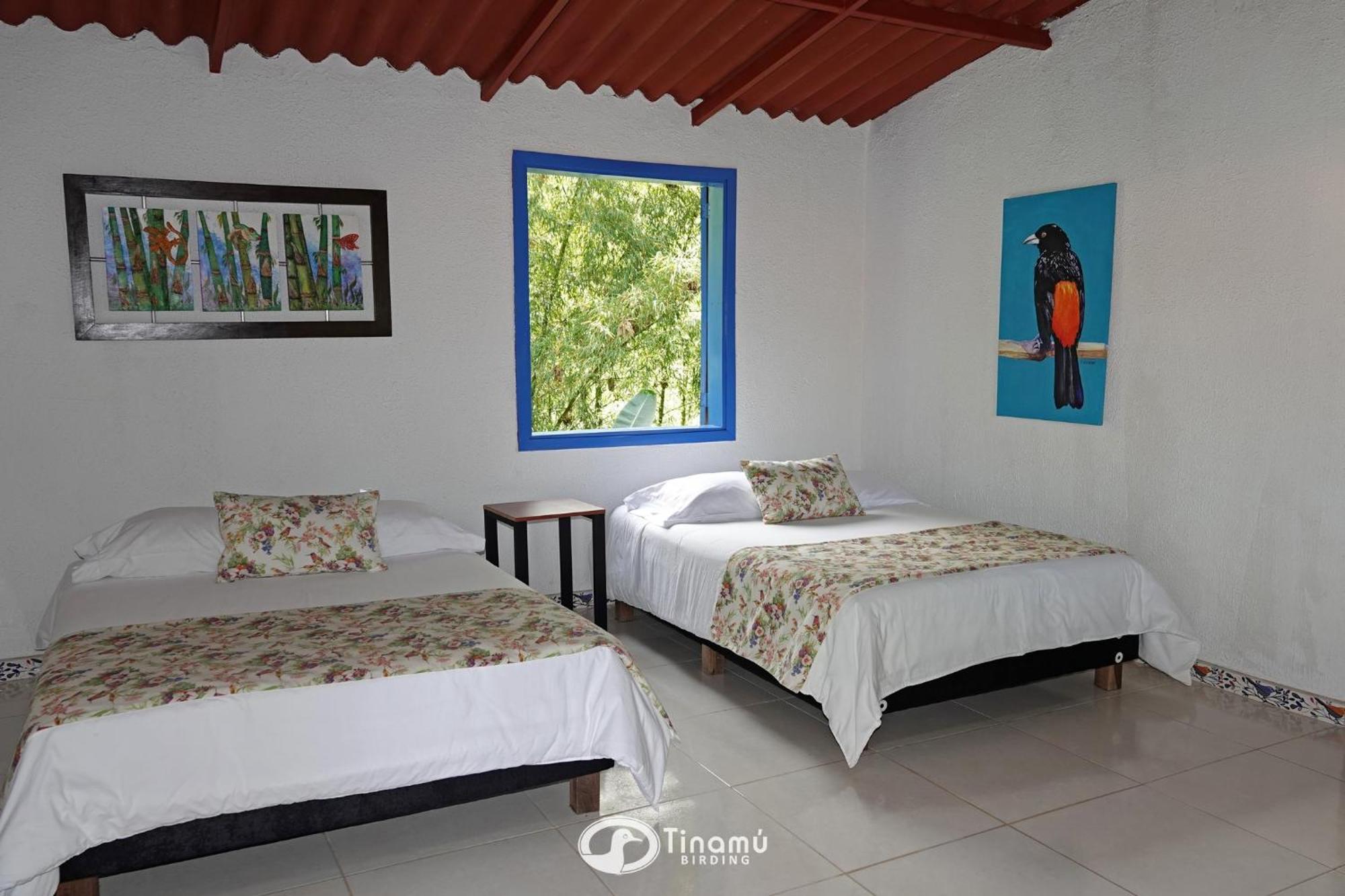 Tinamu Birding Hotell La Manuelita Exteriör bild